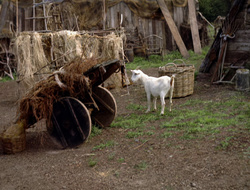 extant_XenaWarriorPrincess_2x15-ADayintheLife_01230
