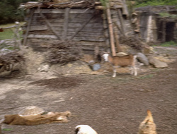 extant_XenaWarriorPrincess_2x15-ADayintheLife_01233