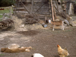 extant_XenaWarriorPrincess_2x15-ADayintheLife_01234