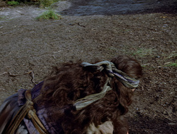 extant_XenaWarriorPrincess_2x15-ADayintheLife_01269
