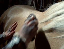 extant_XenaWarriorPrincess_2x15-ADayintheLife_02692
