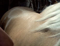extant_XenaWarriorPrincess_2x15-ADayintheLife_02693