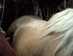 extant_XenaWarriorPrincess_2x15-ADayintheLife_02695