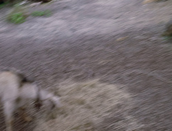 extant_XenaWarriorPrincess_2x15-ADayintheLife_02813