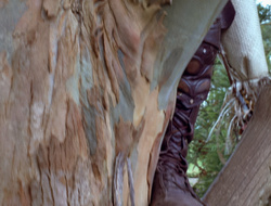 extant_XenaWarriorPrincess_2x15-ADayintheLife_03283
