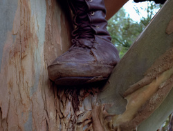 extant_XenaWarriorPrincess_2x15-ADayintheLife_03285