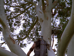 extant_XenaWarriorPrincess_2x15-ADayintheLife_03295