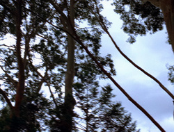 extant_XenaWarriorPrincess_2x15-ADayintheLife_03313