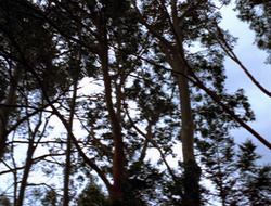 extant_XenaWarriorPrincess_2x15-ADayintheLife_03314