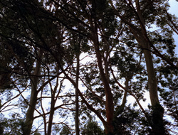 extant_XenaWarriorPrincess_2x15-ADayintheLife_03315