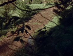 extant_XenaWarriorPrincess_2x15-ADayintheLife_03320