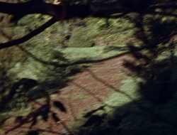 extant_XenaWarriorPrincess_2x15-ADayintheLife_03334