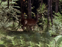 extant_XenaWarriorPrincess_2x15-ADayintheLife_03340