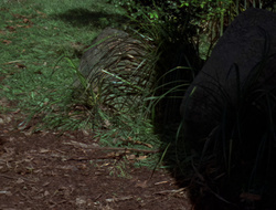 extant_XenaWarriorPrincess_2x15-ADayintheLife_03402