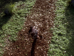 extant_XenaWarriorPrincess_2x15-ADayintheLife_03411