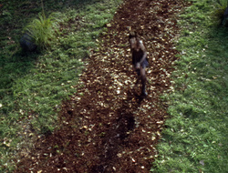 extant_XenaWarriorPrincess_2x15-ADayintheLife_03423