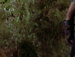 extant_XenaWarriorPrincess_2x15-ADayintheLife_03429