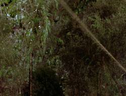 extant_XenaWarriorPrincess_2x15-ADayintheLife_03430