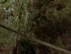 extant_XenaWarriorPrincess_2x15-ADayintheLife_03431