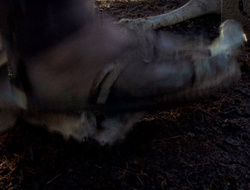 extant_XenaWarriorPrincess_2x15-ADayintheLife_03484