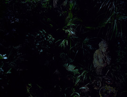 extant_XenaWarriorPrincess_2x15-ADayintheLife_03735
