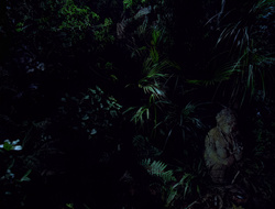 extant_XenaWarriorPrincess_2x15-ADayintheLife_03736