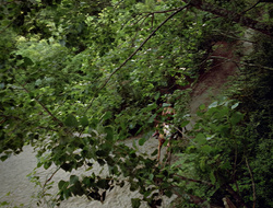 extant_XenaWarriorPrincess_2x16-ForHimtheBellTolls_00020