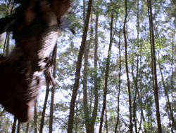 extant_XenaWarriorPrincess_2x16-ForHimtheBellTolls_00129