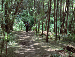 extant_XenaWarriorPrincess_2x16-ForHimtheBellTolls_00297