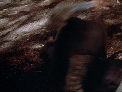 extant_XenaWarriorPrincess_2x16-ForHimtheBellTolls_00565