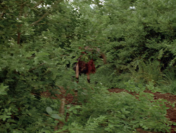 extant_XenaWarriorPrincess_2x16-ForHimtheBellTolls_00591