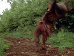 extant_XenaWarriorPrincess_2x16-ForHimtheBellTolls_00594