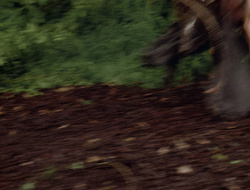 extant_XenaWarriorPrincess_2x16-ForHimtheBellTolls_00597