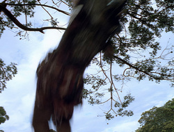 extant_XenaWarriorPrincess_2x16-ForHimtheBellTolls_00598