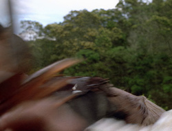 extant_XenaWarriorPrincess_2x16-ForHimtheBellTolls_00652