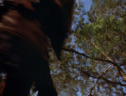 extant_XenaWarriorPrincess_2x16-ForHimtheBellTolls_00654
