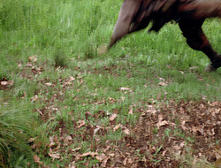 extant_XenaWarriorPrincess_2x16-ForHimtheBellTolls_00658