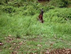 extant_XenaWarriorPrincess_2x16-ForHimtheBellTolls_00660