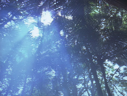 extant_XenaWarriorPrincess_2x16-ForHimtheBellTolls_01143