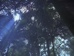 extant_XenaWarriorPrincess_2x16-ForHimtheBellTolls_01144