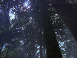 extant_XenaWarriorPrincess_2x16-ForHimtheBellTolls_01145