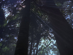 extant_XenaWarriorPrincess_2x16-ForHimtheBellTolls_01146