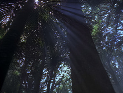 extant_XenaWarriorPrincess_2x16-ForHimtheBellTolls_01147