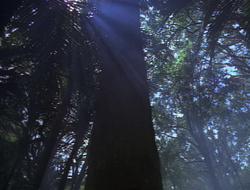 extant_XenaWarriorPrincess_2x16-ForHimtheBellTolls_01148