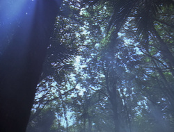 extant_XenaWarriorPrincess_2x16-ForHimtheBellTolls_01150
