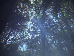 extant_XenaWarriorPrincess_2x16-ForHimtheBellTolls_01151