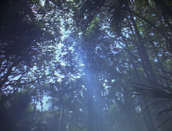 extant_XenaWarriorPrincess_2x16-ForHimtheBellTolls_01152