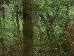 extant_XenaWarriorPrincess_2x16-ForHimtheBellTolls_01233