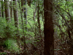extant_XenaWarriorPrincess_2x16-ForHimtheBellTolls_01234