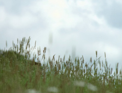 extant_XenaWarriorPrincess_2x16-ForHimtheBellTolls_02080